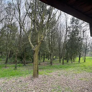Green Woods Verona